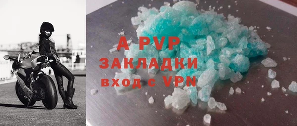 шишки Михайловск