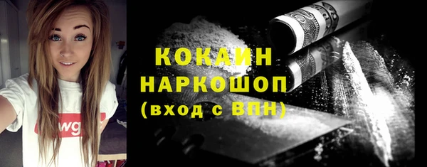 шишки Михайловка