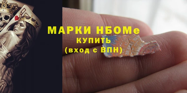 шишки Михайловск