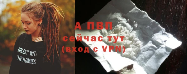 шишки Михайловск