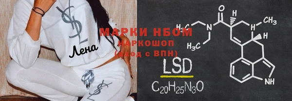 шишки Михайловск