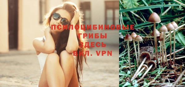 СК Михайлов