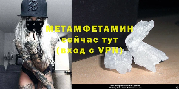 шишки Михайловск