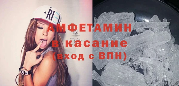 шишки Михайловск