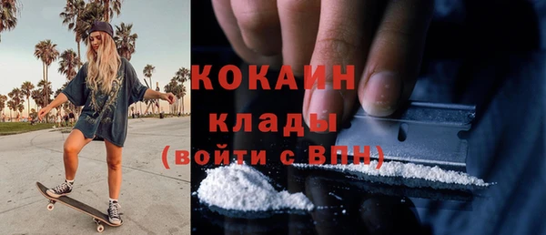 шишки Михайловка